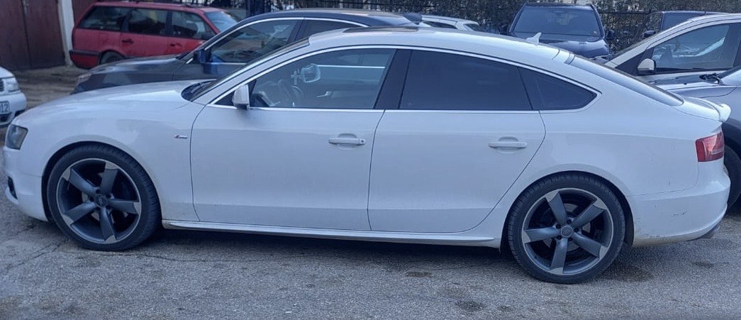 newest-news-post-image